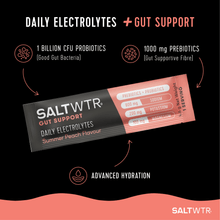 Load image into Gallery viewer, SaltWTR Daily Electrolytes - Summer Peach | Gut Support
