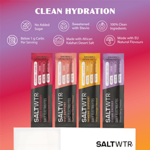 Load image into Gallery viewer, SaltWTR Daily Electrolytes - Variety Pack
