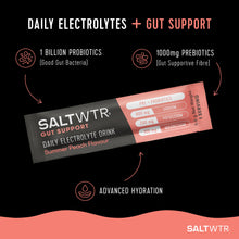 Load image into Gallery viewer, SaltWTR Daily Electrolytes - Summer Peach | Gut Support
